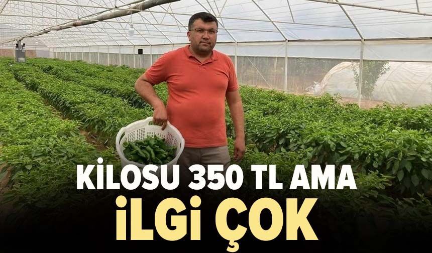 Kilosu 350 TL ama ilgi çok