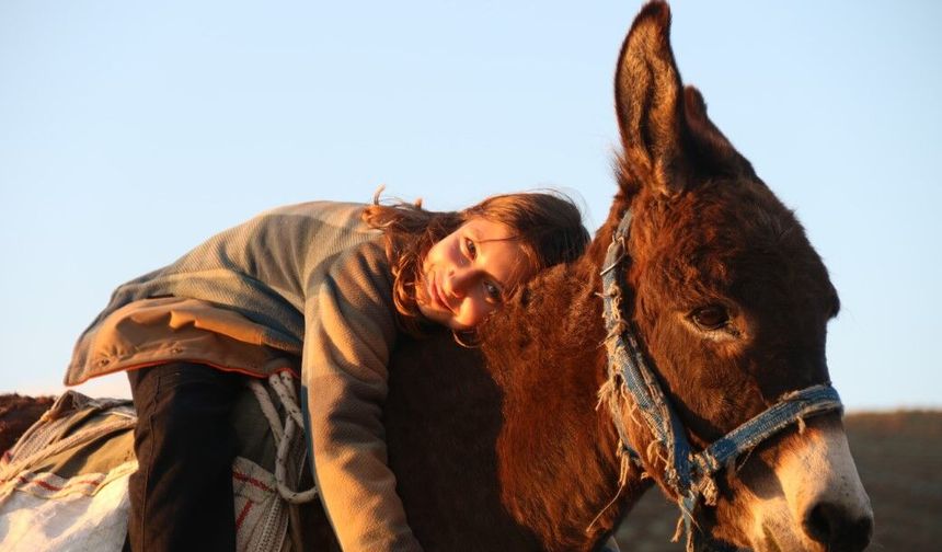 Eşeğinin üzerinde koyunlarını güdüyor