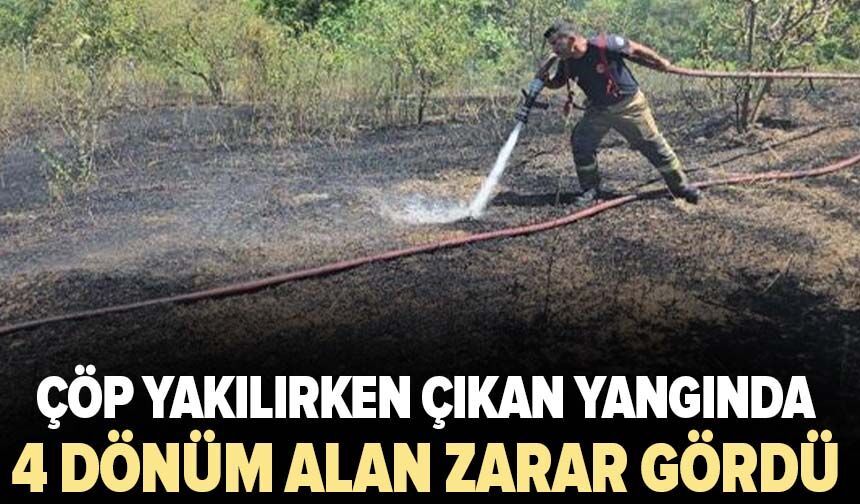 Çöp yakılırken çıkan yangında 4 dönüm alan zarar gördü