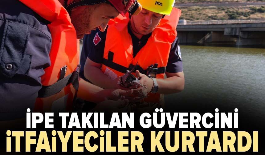 Köprü altında ipe takılan güvercini itfaiyeciler kurtardı