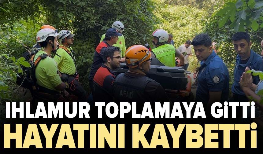 Ihlamur toplamaya gitti, hayatını kaybetti