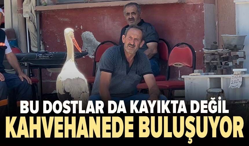 Bu dostlar da kayıkta değil kahvehanede buluşuyor