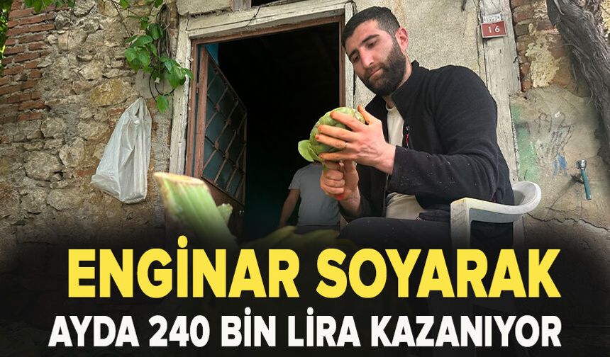 Enginar soyarak ayda 240 bin lira kazanıyor