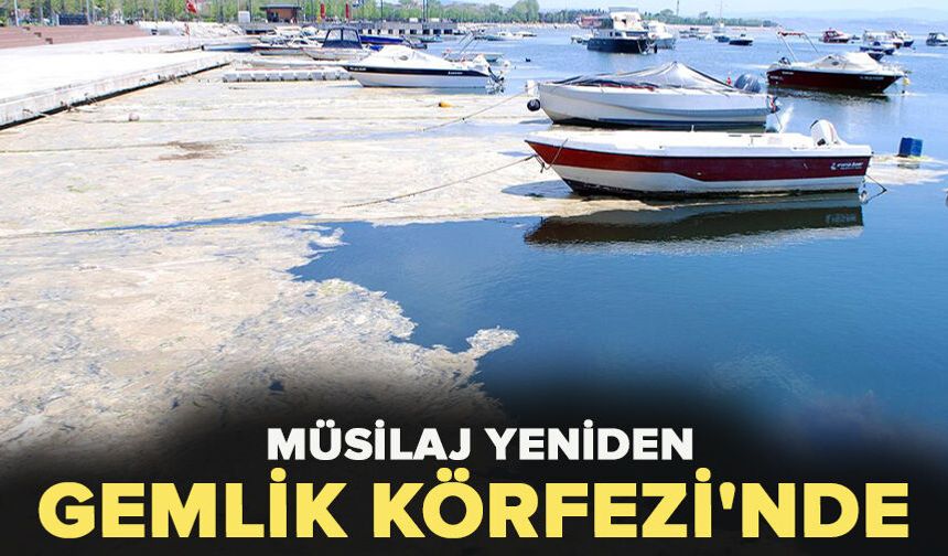 Müsilaj yeniden Gemlik Körfezi'nde