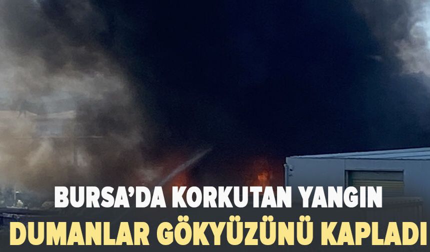 Bursa'da korkutan yangın