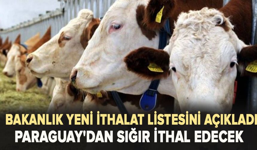 Bakanlık yeni ithalat listesini açıkladı