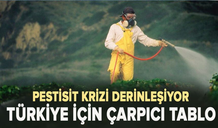 Pestisit Krizi Derinleşiyor: Türkiye İçin Çarpıcı Tablo