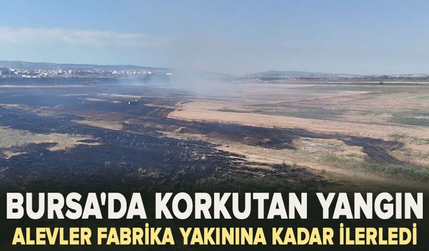 Bursa'da korkutan yangın: Alevler fabrika yakınına kadar ilerledi