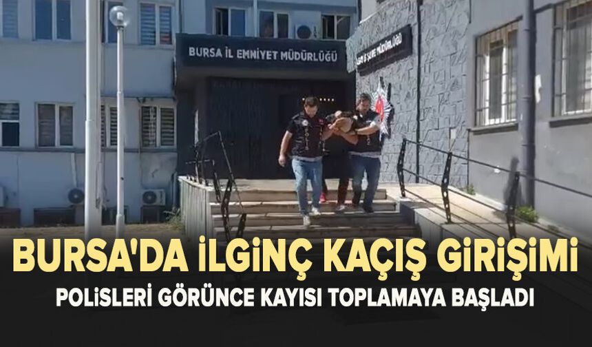 Bursa'da İlginç Kaçış Girişimi: Polisleri Görünce Kayısı Toplamaya Başladı