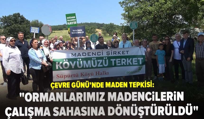 Çevre Günü’nde maden tepkisi: "Doğal alanlarımız madencilerin çalışma sahasına dönüştürüldü"