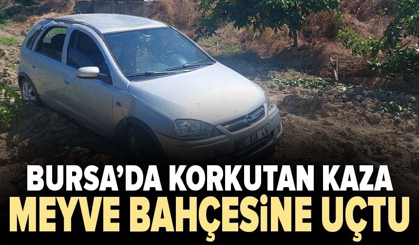 Bursa’da korkutan kaza: Meyve bahçesine uçtu