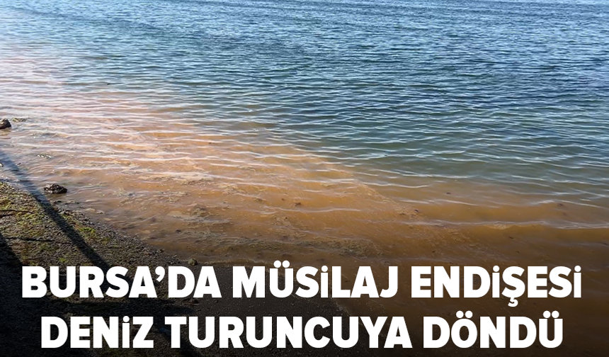 Mudanya sahilinde deniz turuncuya döndü