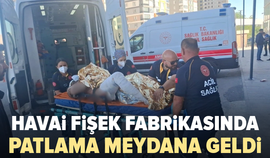 Havai fişek fabrikasında patlama: Çok sayıda yaralı var