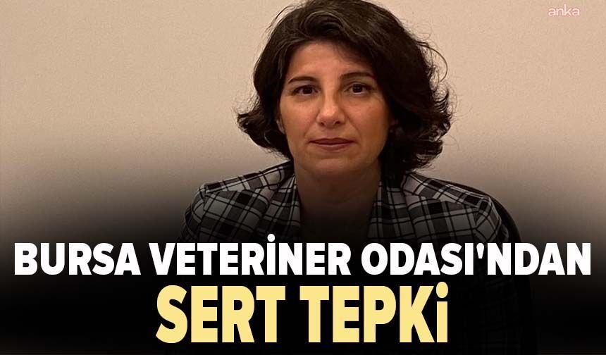 Bursa Veteriner Odası'ndan kızıl geyiklerin avlanmasına yönelik ihaleye tepki