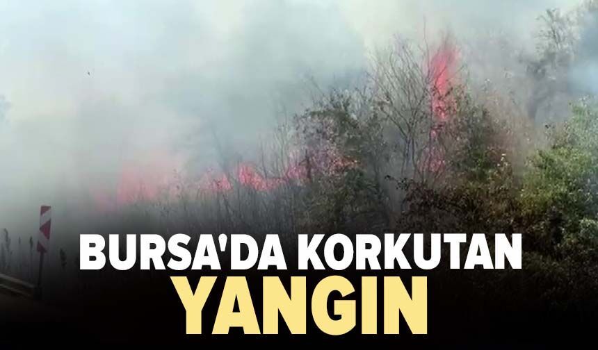 Bursa'da korkutan yangın