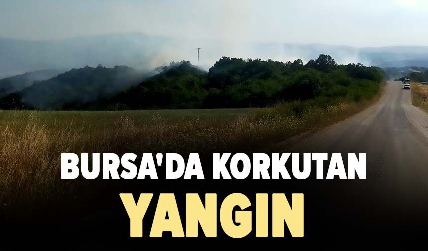 Bursa'da korkutan yangın