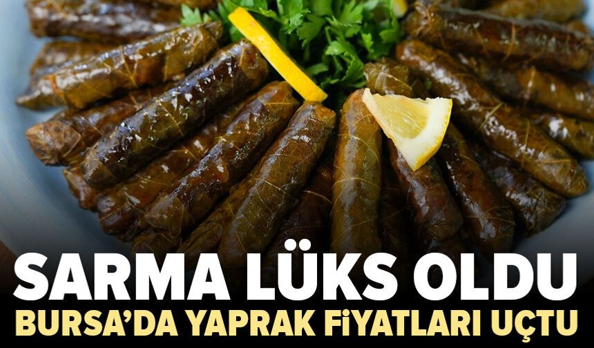 Bursa’da yaprak sarması lüks oldu