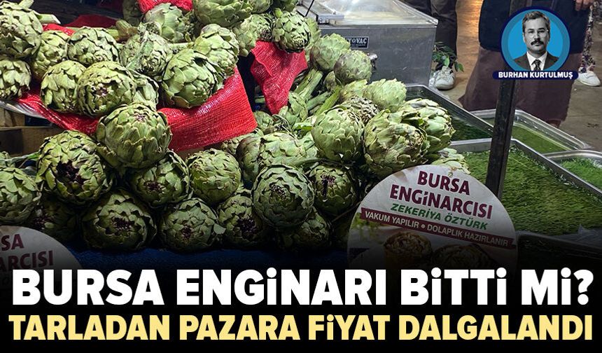 Bursa'nın gözbebeği enginarda fiyatlar sezon boyunca dalgalandı
