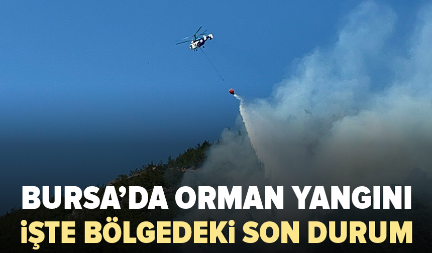 Bursa’daki orman yangınında son durum