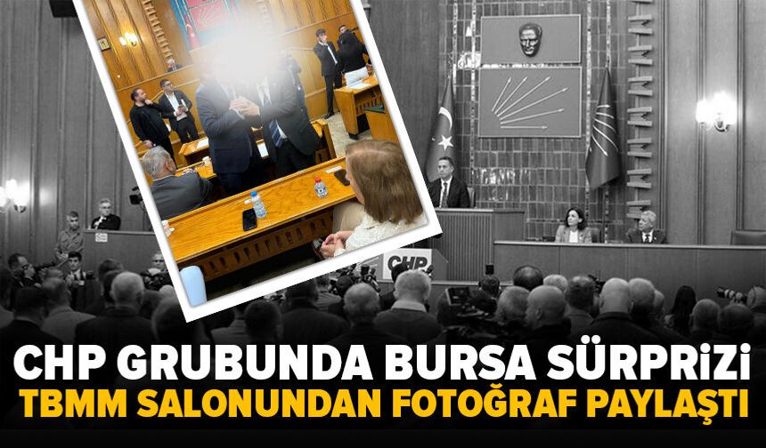 Mutlak butlan krizinin gölgesinde grup mesajı: Bursalı vekilden TBMM’de fotoğraflı destek!