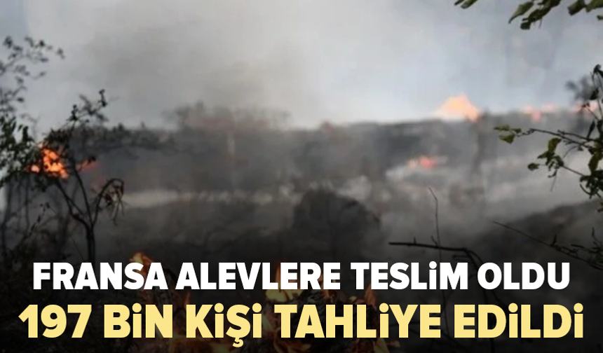 Fransa'da Paris'in 10 katı alan kül oldu