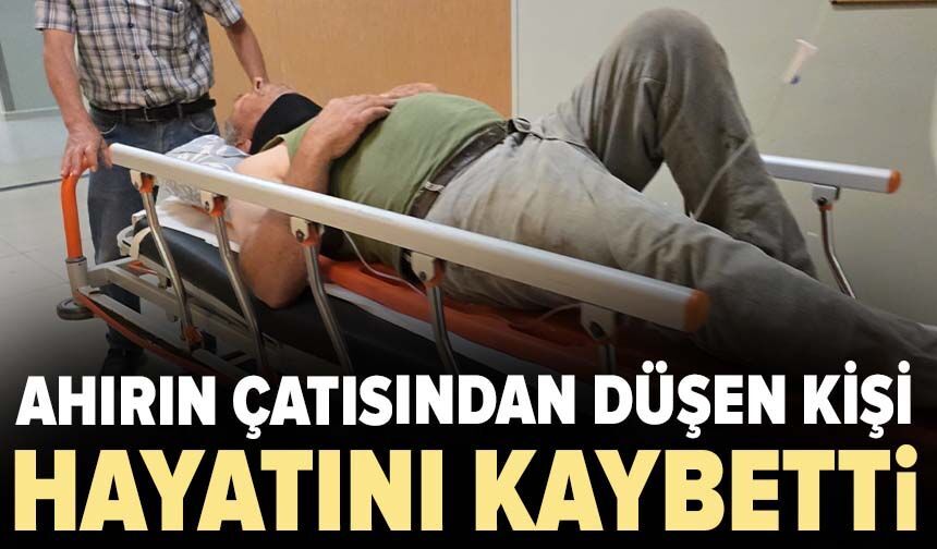 Ahırın çatısından düşen kişi hayatını kaybetti