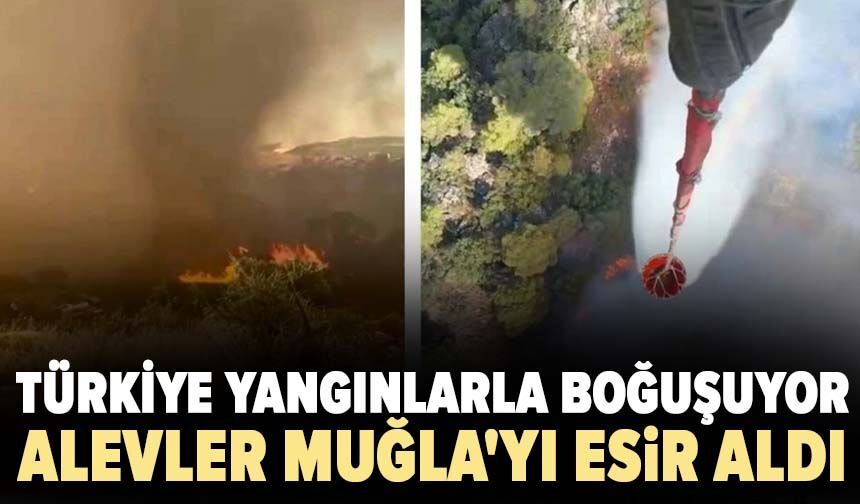 Türkiye yangınlarla boğuşuyor: Alevler Muğla'yı esir aldı