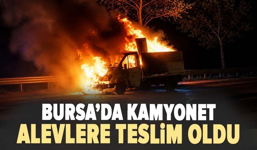 Bursa'da kamyonet alevlere teslim oldu