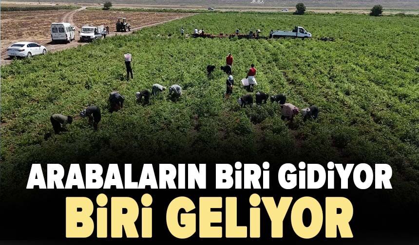 Arabaların biri gidiyor biri geliyor