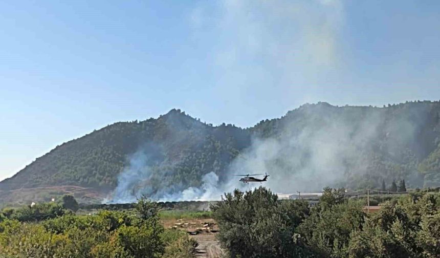 Dalaman'da tarım alanındaki yangın kısa sürede söndürüldü