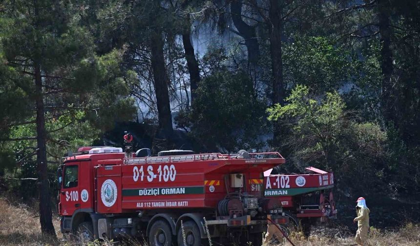 Osmaniye'de orman yangını kontrol altına alındı, soğutma çalışmaları sürüyor