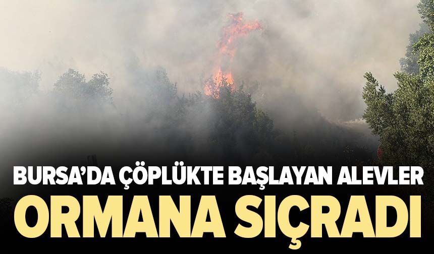 Bursa'da çöplükte başlayan alevler ormana sıçradı