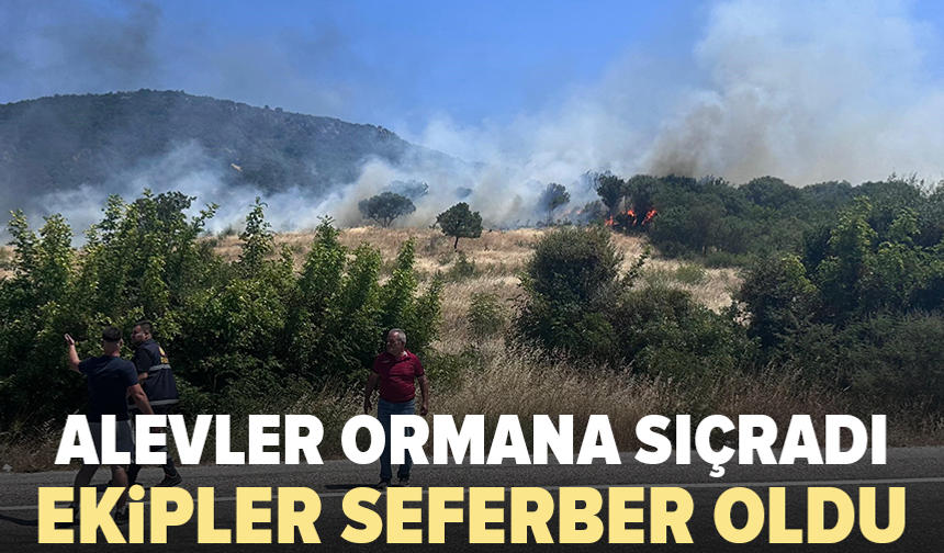 Orman yangınına havadan ve karadan müdahale sürüyor