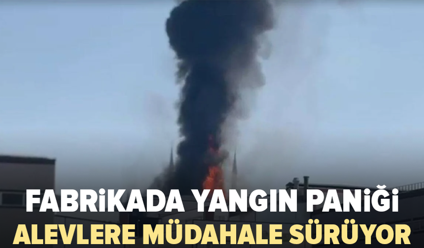 Kimyasal fabrikasında patlama: Alevler yan fabrikaya sıçradı