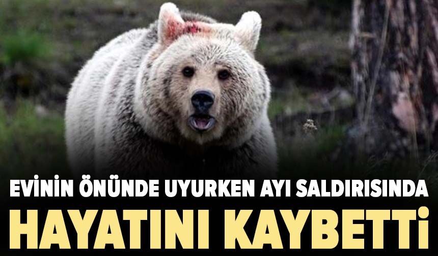 Evinin önünde uyurken ayı saldırısında hayatını kaybetti