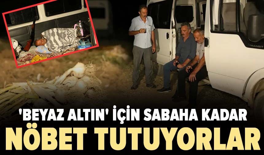 'Beyaz altın' için sabaha kadar nöbet tutuyorlar