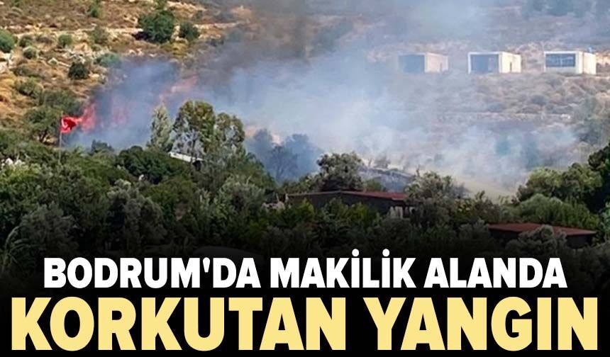 Bodrum'da makilik alanda korkutan yangın