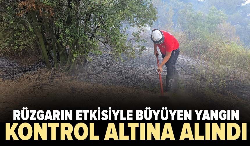Mudanya'da rüzgarın etkisiyle büyüyen yangın kontrol altına alındı