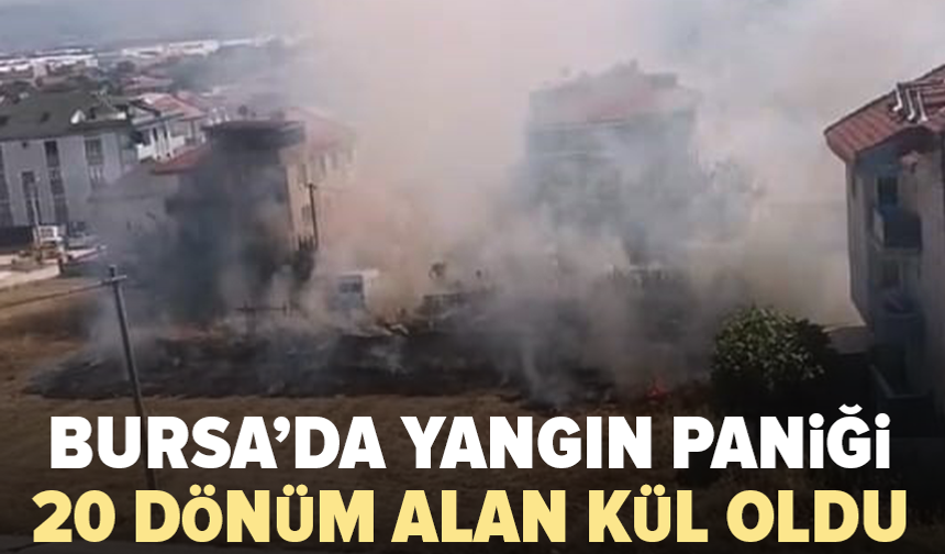 Bursa’da anız yangını: 20 dönüm alan zarar gördü