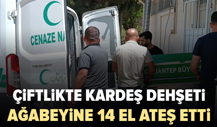 Tartıştığı ağabeyine kurşun yağdırdı