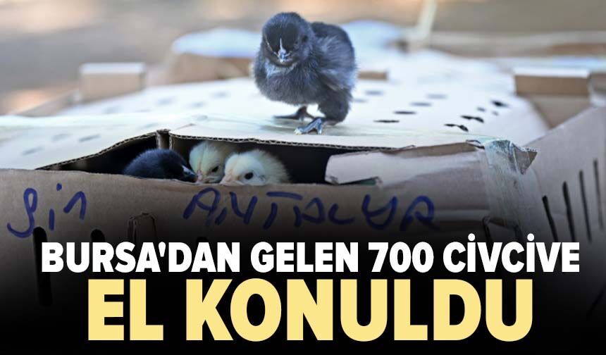 Bursa'dan gelen 700 civcive el konuldu