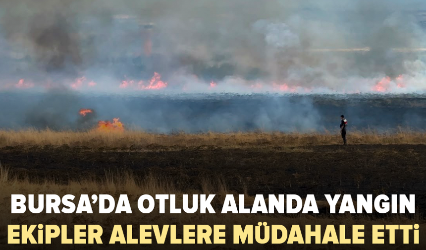 Bursa’da havalimanı girişinde yangın paniği