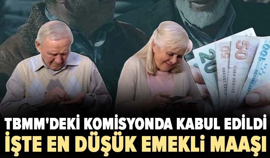 TBMM'deki komisyonda kabul edildi! İşte en düşük emekli maaşı