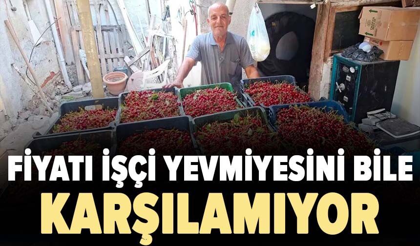 Fiyatı işçi yevmiyesini bile karşılamıyor