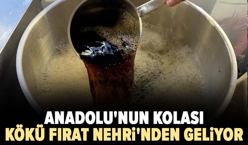 Anadolu'nun kolası: Kökü Fırat Nehri'nden geliyor