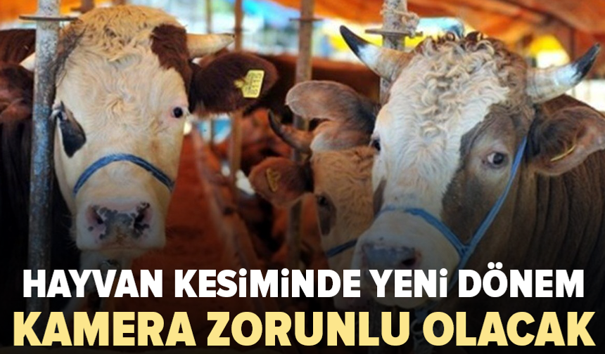 Bakan Yumaklı açıkladı: Kesimhanelere kamera şartı