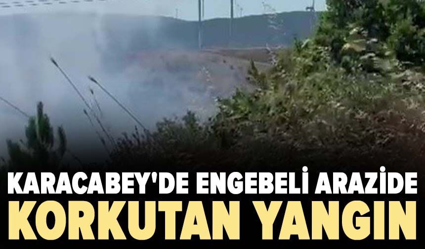 Karacabey'de engebeli arazide korkutan yangın