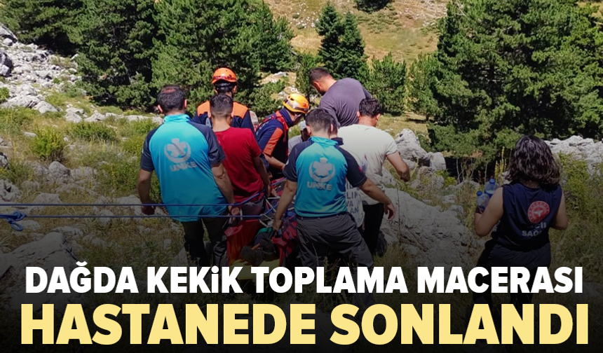 Kekik toplarken kayalıklardan düştü