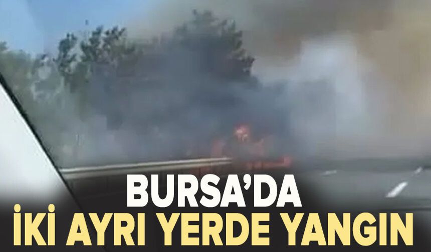 Bursa'da iki ayrı noktada yangın!