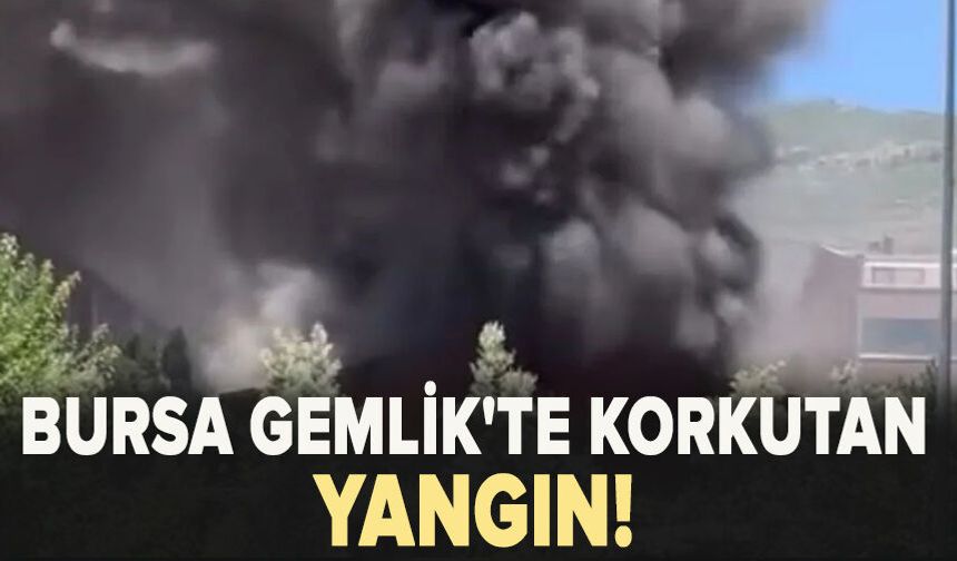 Bursa Gemlik'te Korkutan Yangın!